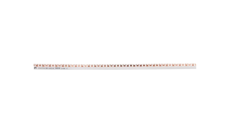 Szyna łączeniowa widełkowa 2P 100A 16mm2 (54mod.) IZ16/2F/54 002921067
