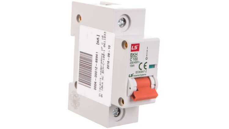 Wyłącznik nadprądowy 1P C 100A 10kA AC BKH 06110331R0